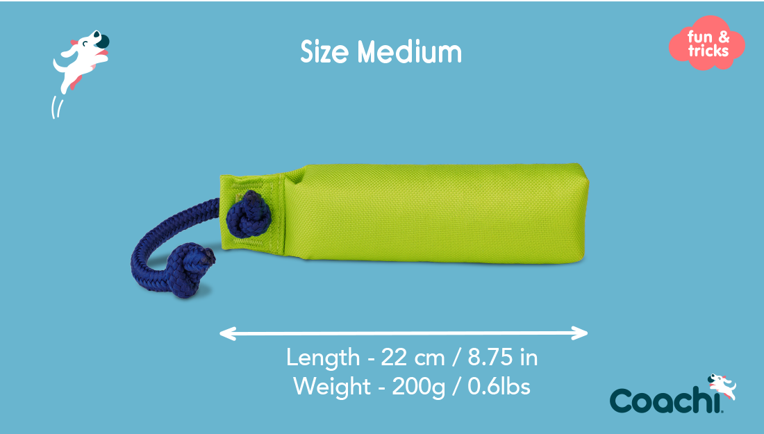 Coachi Canva Training Dummy